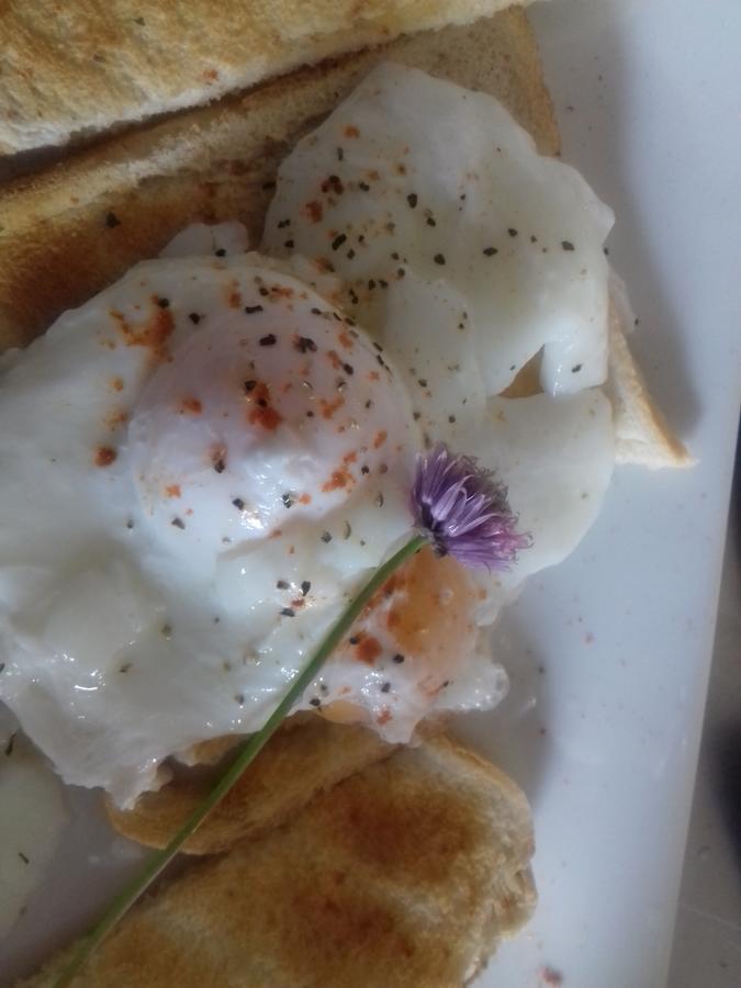 Westhouse Cafe N39 E0A6 Bed & Breakfast Longford Eksteriør bilde